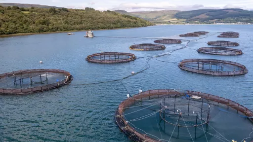 fisheries farm in scotland
