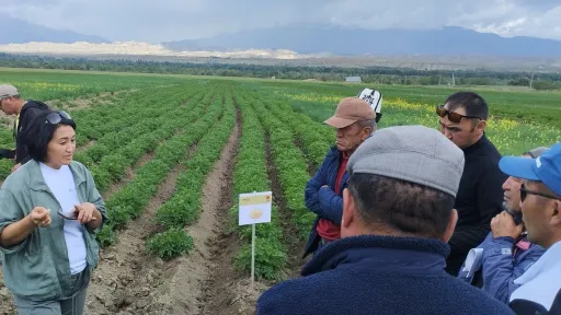 Kyrgyzstan farmers field
