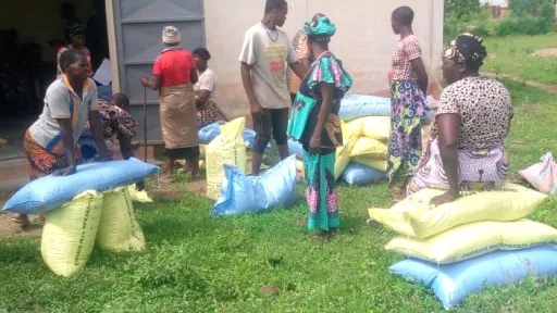 KfW Benin farmers working