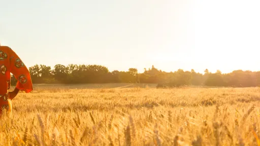 Agroalimentaire