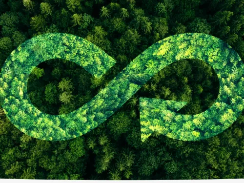 forest with recycle symbol imprint over it