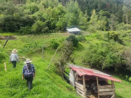 German-Colombian Project for Agroecology 